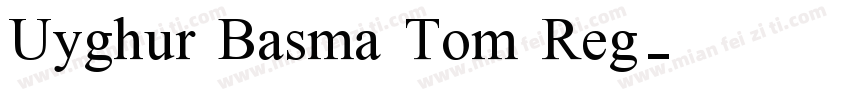 Uyghur Basma Tom Reg字体转换